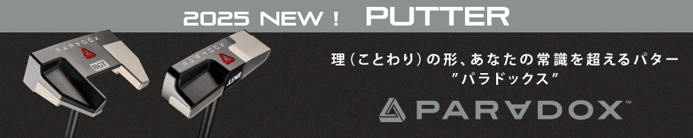 パラドックス