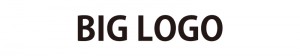 biglogo_img001